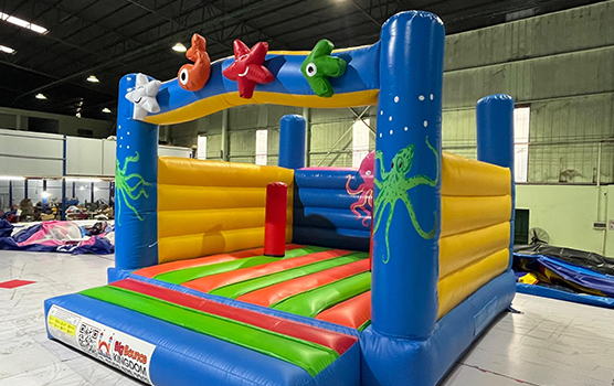 Choosing the Right Bouncy Castle