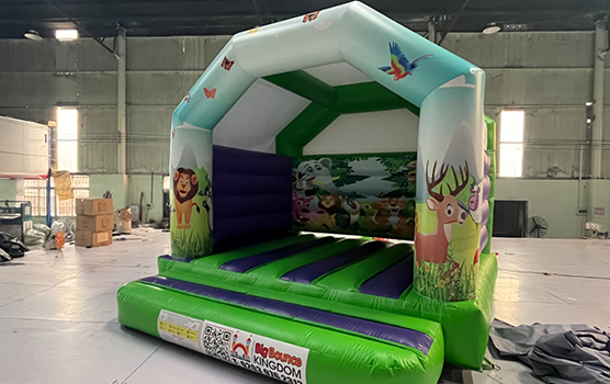 Best Bouncy Castle Themes for Children: Unicorn, Dinosaur, Mermaid, and More